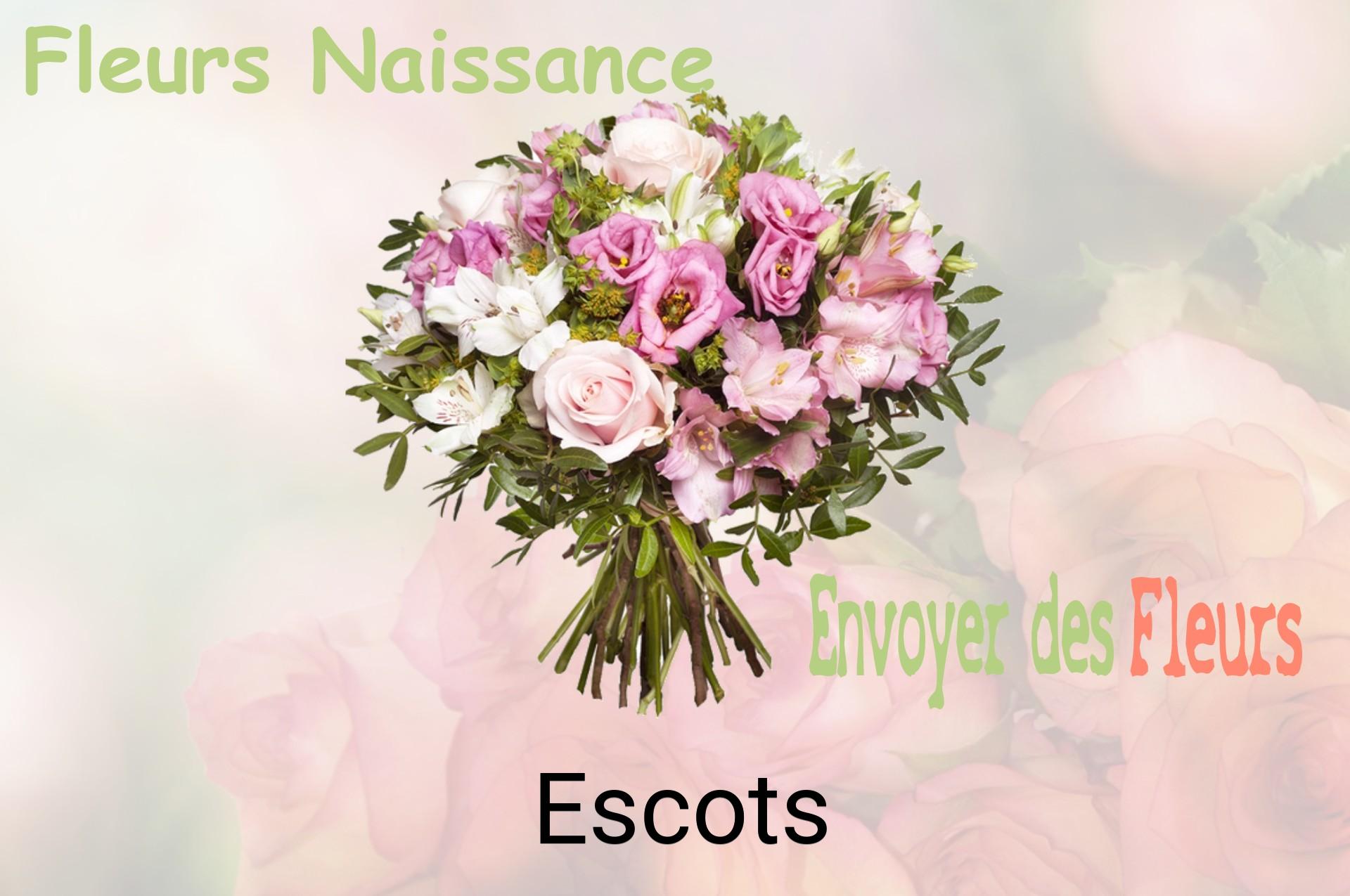 Bouquet de fleurs de naissance livré à Escots