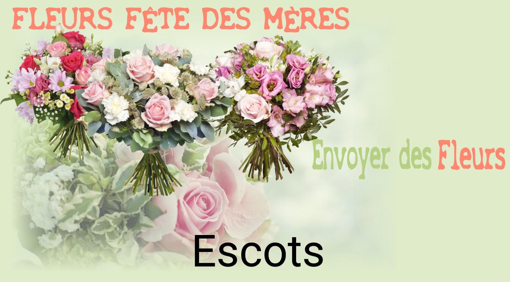 Bouquet de Fête des Mères livré à Escots